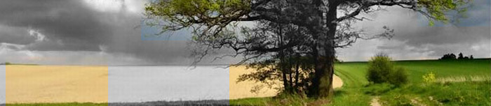 Logo PROGRES Usługi Geodezyjne